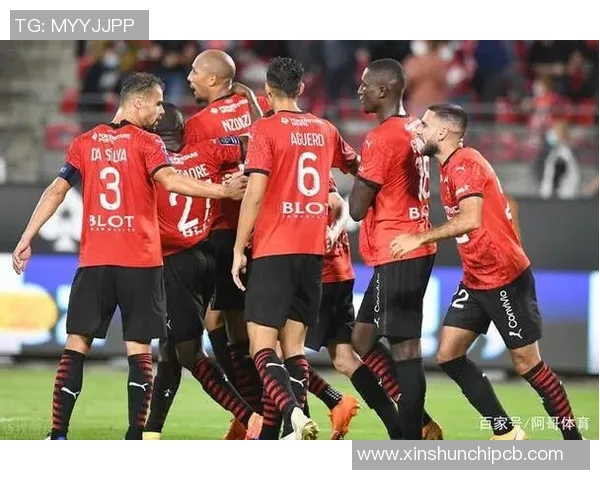 深入剖析法甲赛季整体战绩哪些因素影响球队走势